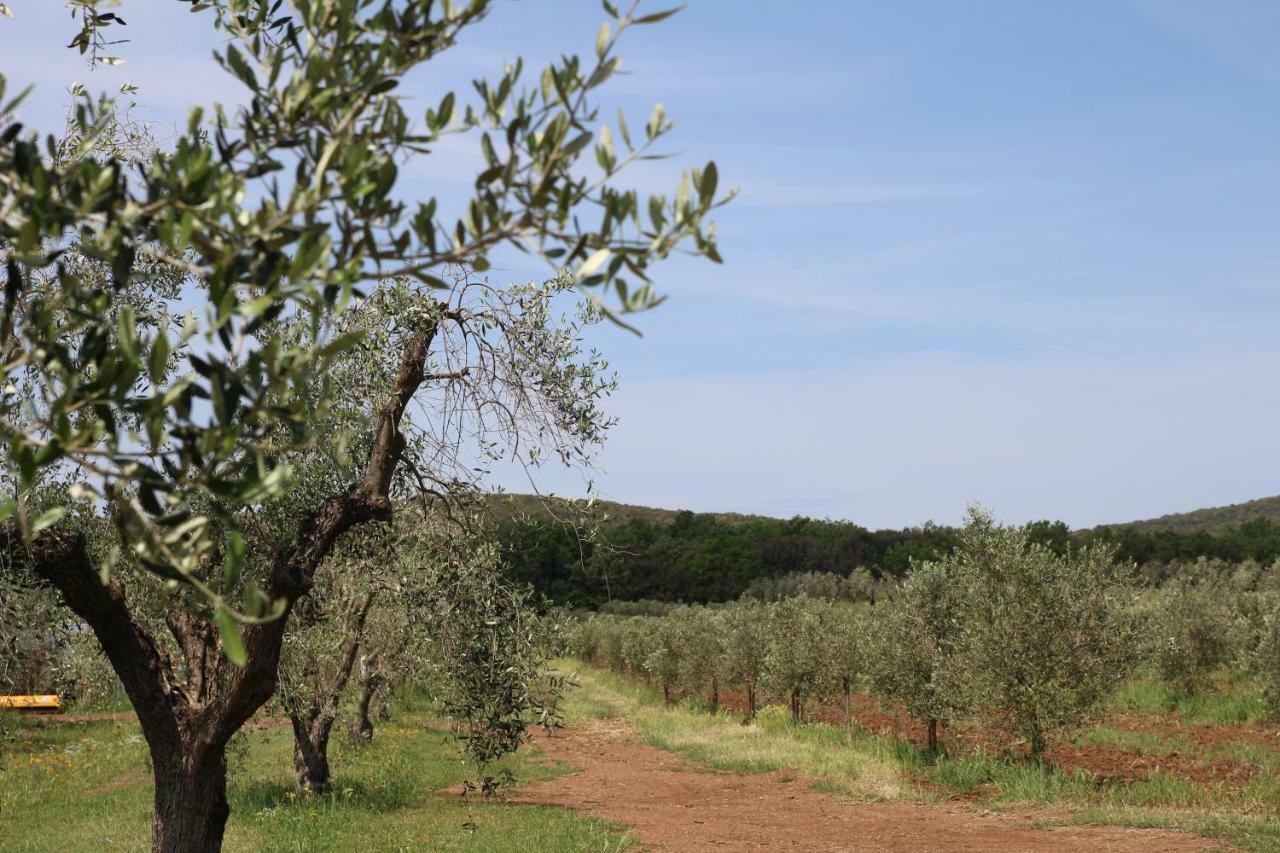 Villa Agriturismo La Dolce Collina à Follonica Extérieur photo
